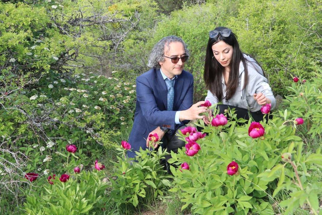 Şifa deposu fakat sadece 15 gün ömrü var! Ağrı kesici ve antioksidan etkiye sahip 4